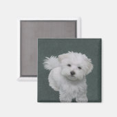白い小型犬のペット肖像画 マグネット (正面/裏面)