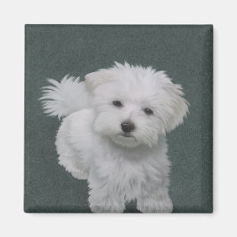 白い小型犬のペット肖像画 マグネット
