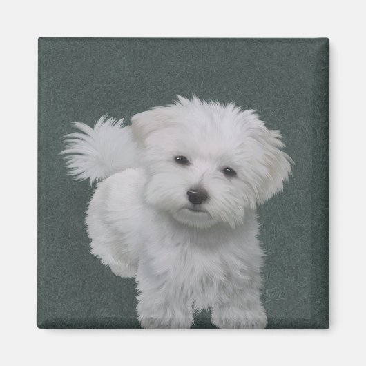 白い小型犬のペット肖像画 マグネット (正面)
