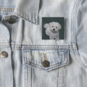白い小型犬のペット肖像画 缶バッジ (インサイチュ)
