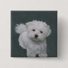 白い小型犬のペット肖像画 缶バッジ