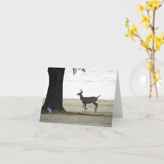 白い尾と旗 カード (黄色い花)