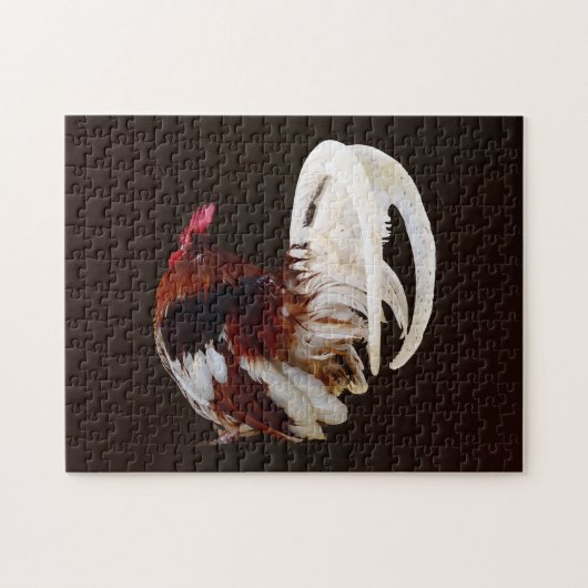 白い尾の羽を持つ赤いオンドリ ジグソーパズル (横)