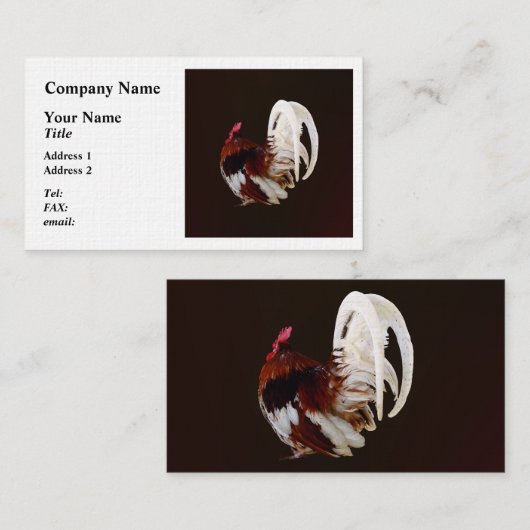 白い尾の羽を持つ赤いオンドリ 名刺 (正面/裏面)