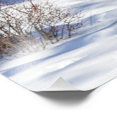 白い尾の鹿があなたを見ている フォトプリント            (角)