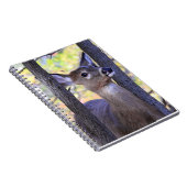 白い尾の鹿が近く ノートブック (右側)