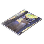 白い尾の鹿が近く ノートブック (左側)