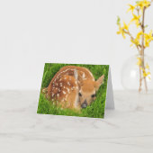 白い尾の鹿の子鹿の休息 カード (黄色い花)