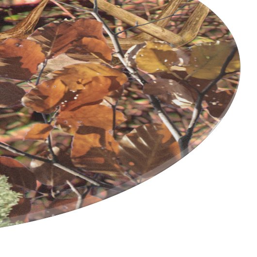 白い尾の鹿の頭の秋のエネルギーが千に威勢よく カッティングボード (角)