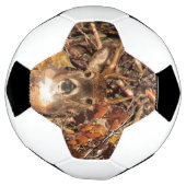 白い尾の鹿の頭の秋のエネルギーが千に威勢よく サッカーボール (回転)