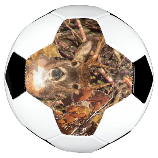 白い尾の鹿の頭の秋のエネルギーが千に威勢よく サッカーボール (回転)