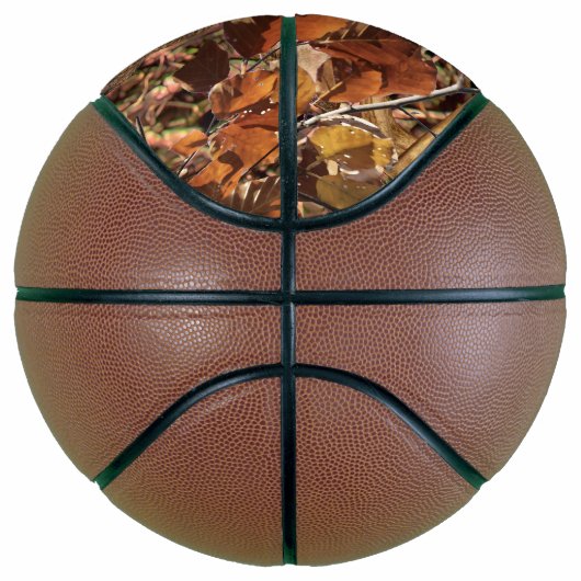 白い尾の鹿の頭の秋のエネルギーが千に威勢よく バスケットボール (右)