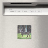 白い尾の鹿2"磁石 マグネット (インサイチュ (食洗機))