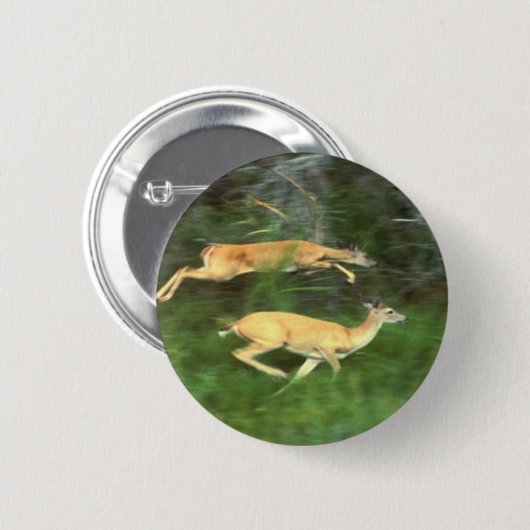 白い尾の鹿 缶バッジ (正面&裏面)