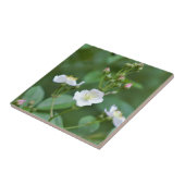 白い山の花 タイル (側面)