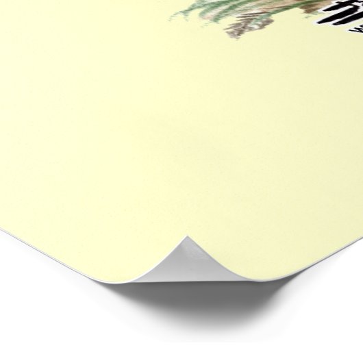 白い岩鶏 ポスター (角)