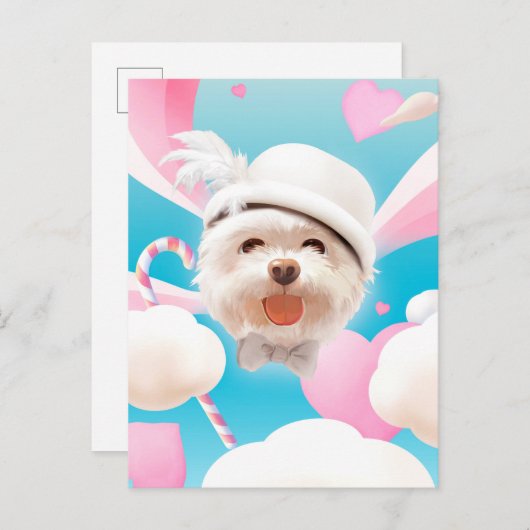 白い帽子をかぶったふわふわの犬 案内ポストカード (正面/裏面)