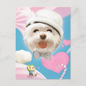 白い帽子をかぶったふわふわの犬 案内ポストカード (正面)