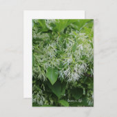 白い庭の花 ノートカード (正面/裏面)