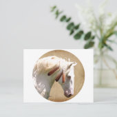 白い戦馬 ポストカード (スタンド正面)