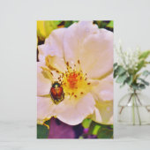 白い日本のバラの甲虫 (スタンド正面)