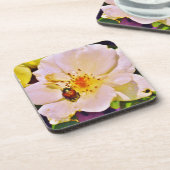 白い日本のバラの甲虫 コースター (左側)