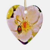 白い日本のバラの甲虫 セラミックオーナメント (右)