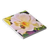 白い日本のバラの甲虫 ノートパッド (アングル)