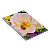 白い日本のバラの甲虫 ノートブック (右側)