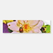 白い日本のバラの甲虫 バンパーステッカー (正面)