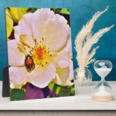 白い日本のバラの甲虫 フォトプラーク (側面)