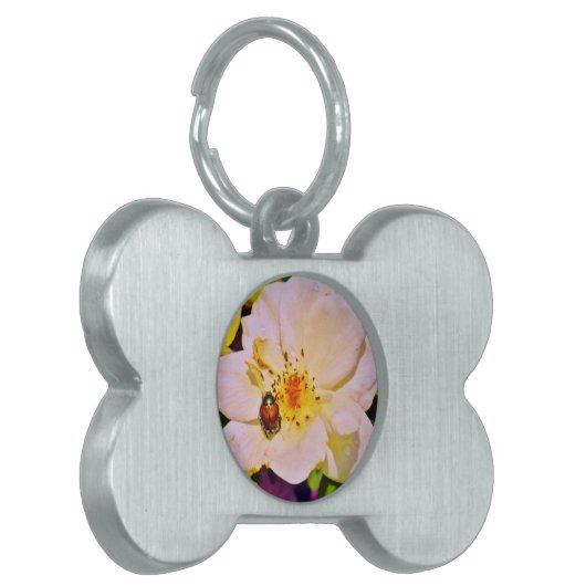 白い日本のバラの甲虫 ペットネームタグ (正面左)