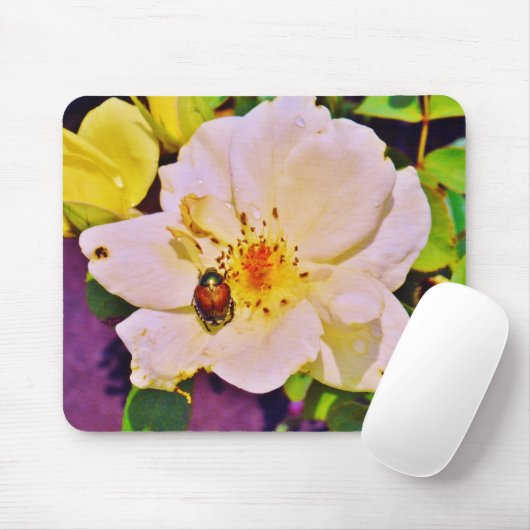 白い日本のバラの甲虫 マウスパッド (マウス)