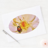 白い日本のバラの甲虫 楕円形シール (封筒)