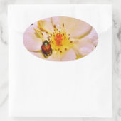 白い日本のバラの甲虫 楕円形シール (バッグ)