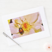 白い日本のバラの甲虫 長方形シール (封筒)