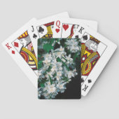 白い星 トランプ (裏面)