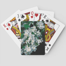 白い星 トランプ