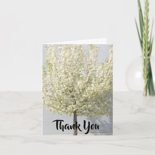 白い春の花々が満樹 サンキューカード (正面)