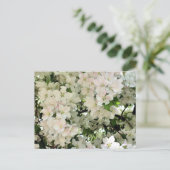 白い春の花の写真 ポストカード (スタンド正面)