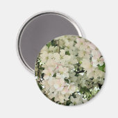 白い春の花の写真 マグネット (正面/裏面)