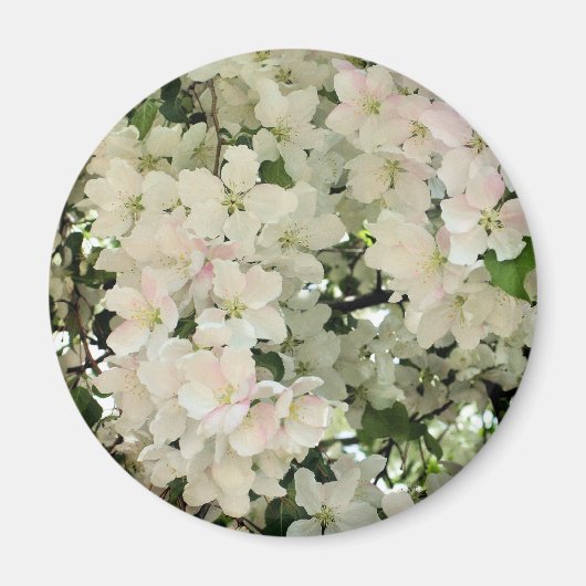 白い春の花の写真 マグネット (正面)