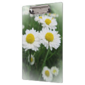 白い春の花 クリップボード (左)