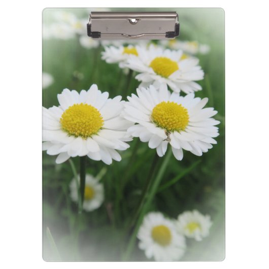 白い春の花 クリップボード (正面)