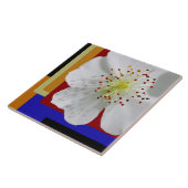 白い春の花 細やかな色彩 幾何学的な美しさ タイル (側面)