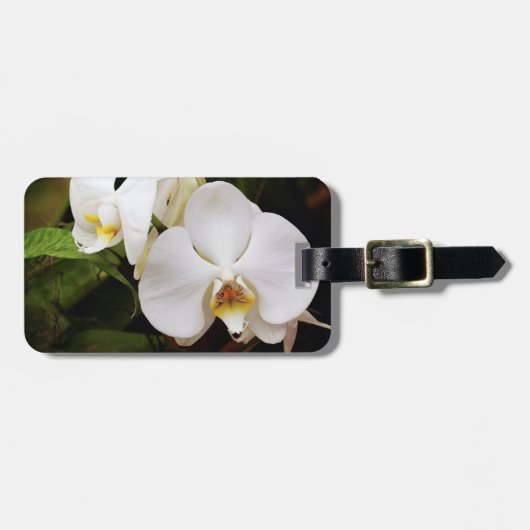 白い月のラン（ファレノプシス·アフロディテ） ラゲッジタグ (正面横)