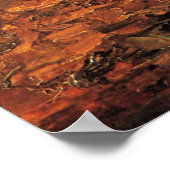 白い服の少女 ヴィンセント・ヴァン・ゴッホ ポスター (角)