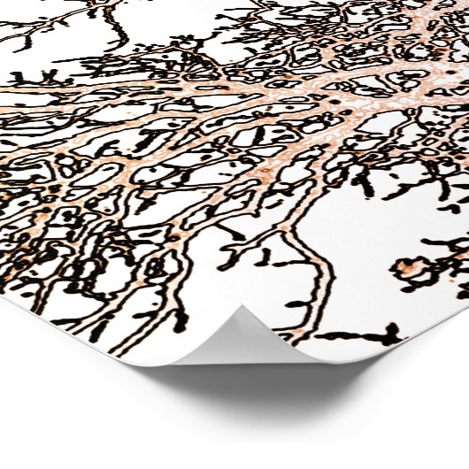 白い木 ポスター (角)