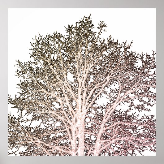 白い木 ポスター (正面)