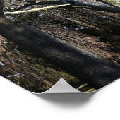 白い木 ポスター (角)